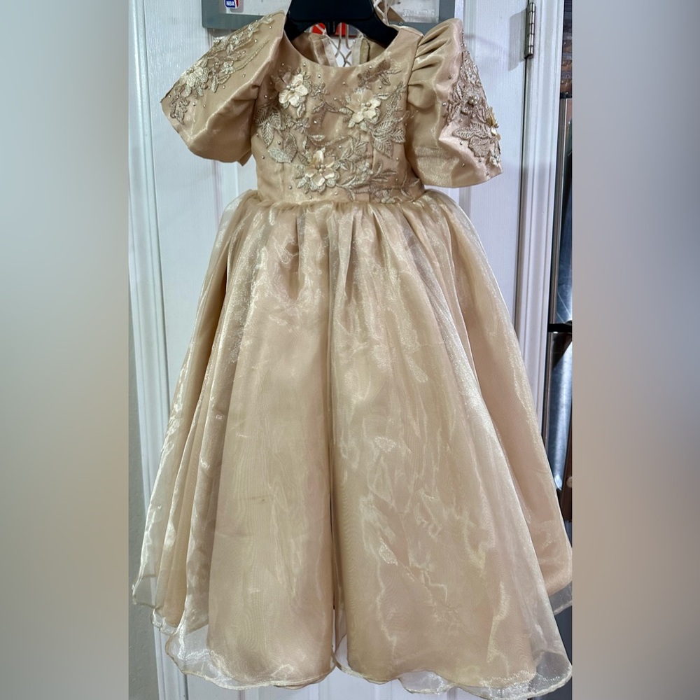 Filipiniana gown